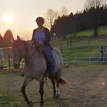 Bio-bauernhof, Pferdehof Graeser Farm stay
