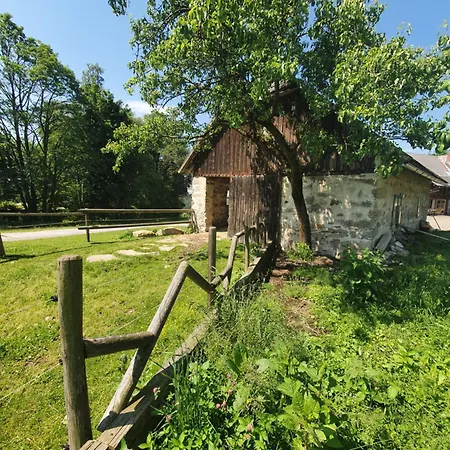 Bio-bauernhof, Pferdehof Graeser Viehberg